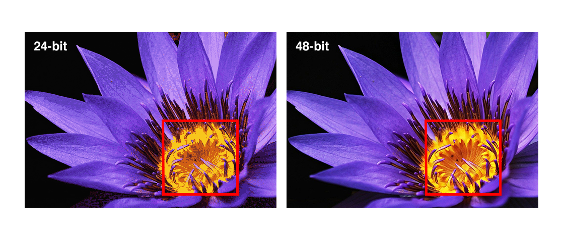 The Plustek OpticFilm 135i is the Easiest Way to Convert 35mm Film to  Digital