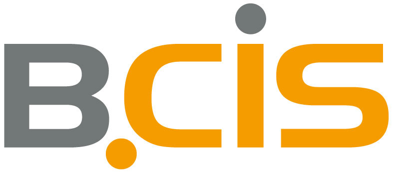 Bcis It Systeme Gmbh & Co Kg
