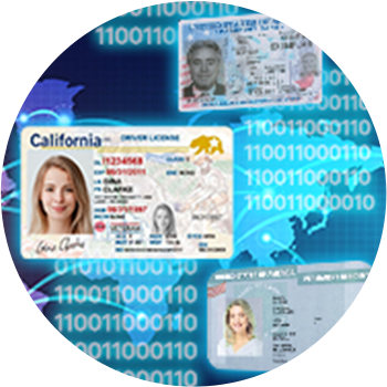 Passport & ID Extraction Solution