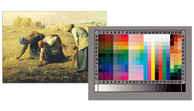 Accurate Color Reproduction