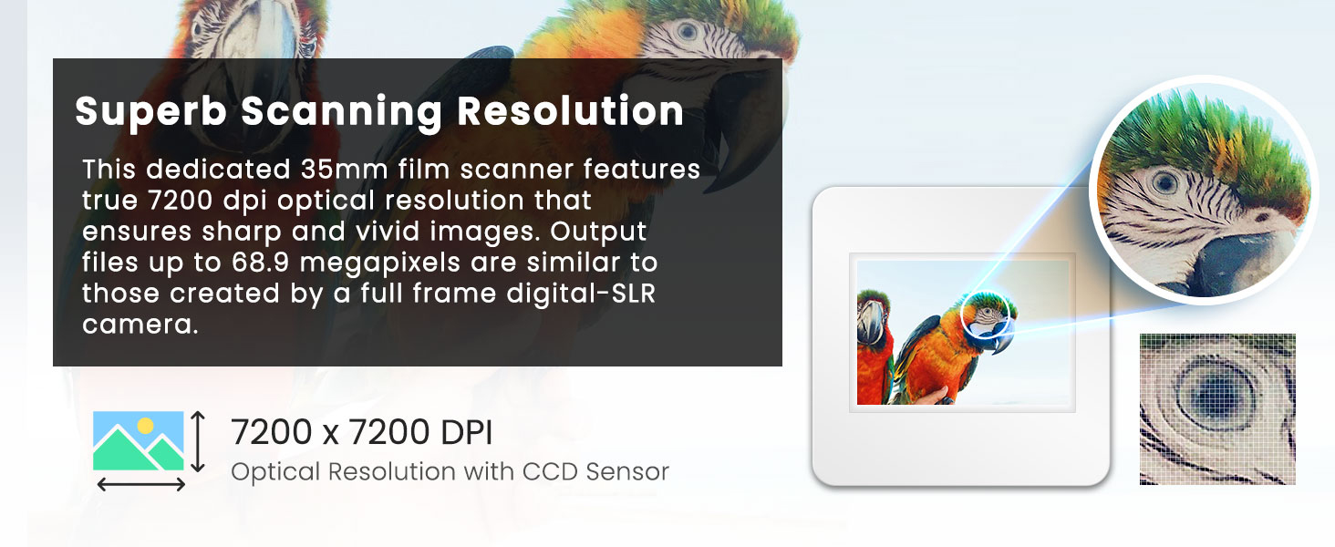 OpticFilm 135i